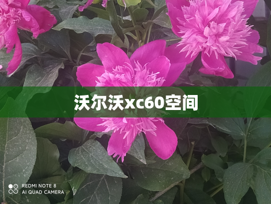 沃尔沃xc60空间