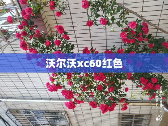沃尔沃xc60红色