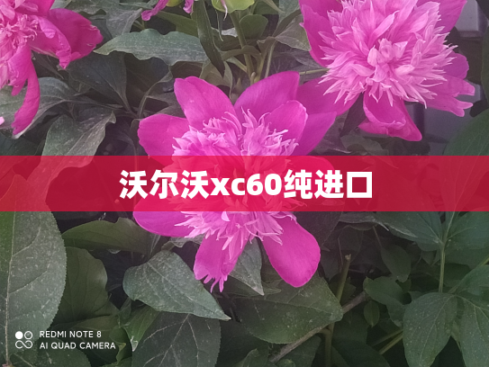沃尔沃xc60纯进口