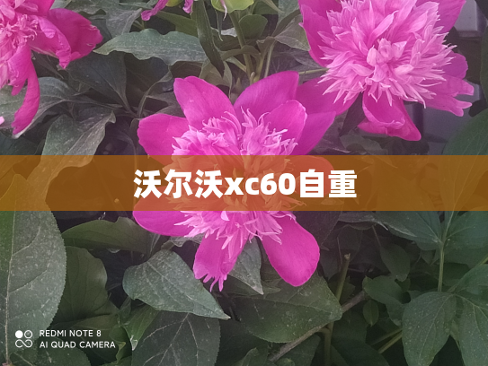 沃尔沃xc60自重