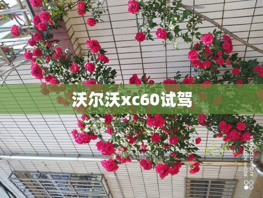 沃尔沃xc60试驾
