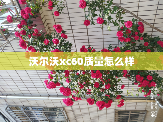 沃尔沃xc60质量怎么样