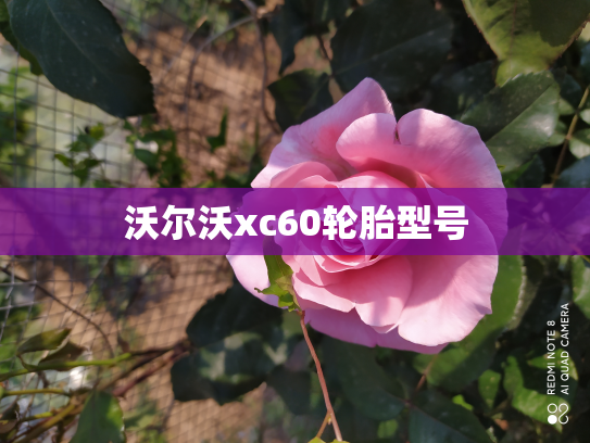 沃尔沃xc60轮胎型号