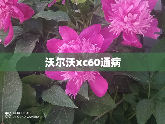 沃尔沃xc60通病