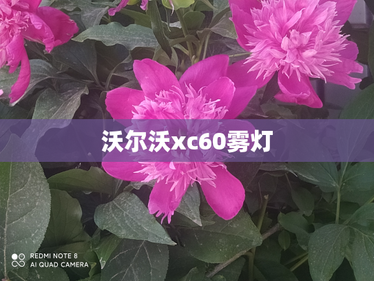 沃尔沃xc60雾灯
