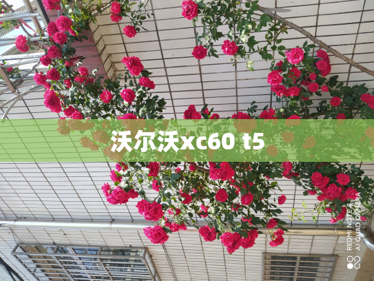 沃尔沃xc60 t5