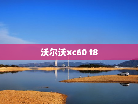 沃尔沃xc60 t8