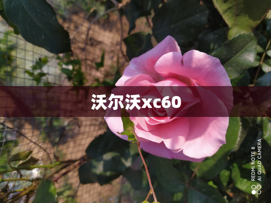 沃尔沃xc60