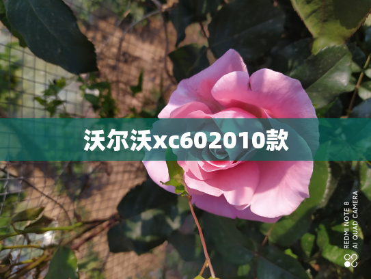 沃尔沃xc602010款