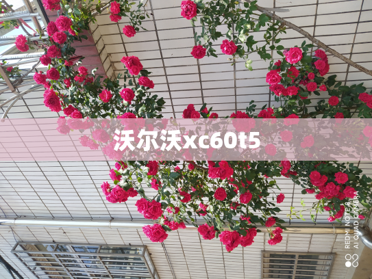 沃尔沃xc60t5