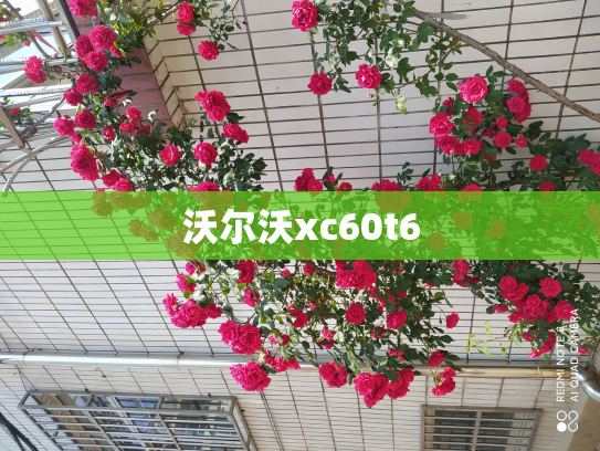 沃尔沃xc60t6