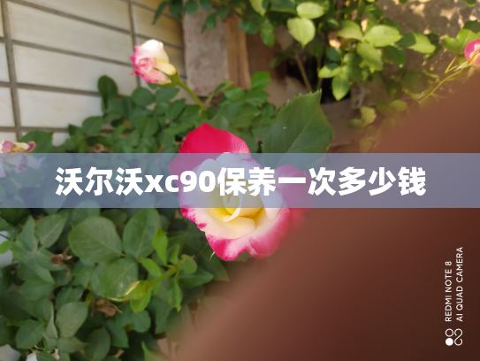 沃尔沃xc90保养一次多少钱