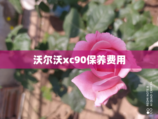 沃尔沃xc90保养费用