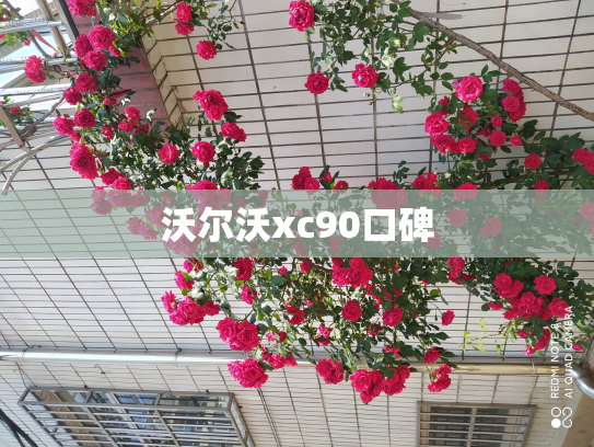 沃尔沃xc90口碑