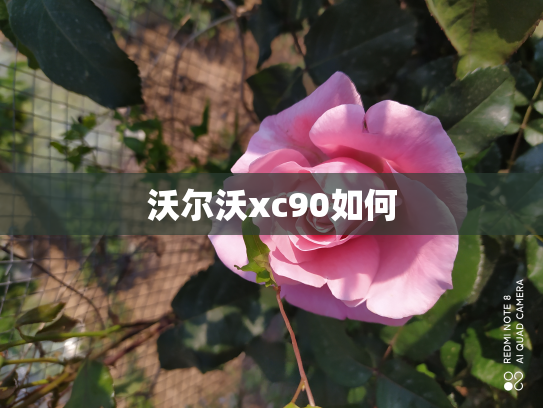 沃尔沃xc90如何