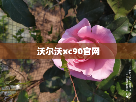 沃尔沃xc90官网