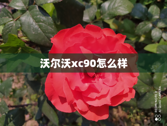 沃尔沃xc90怎么样