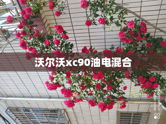 沃尔沃xc90油电混合