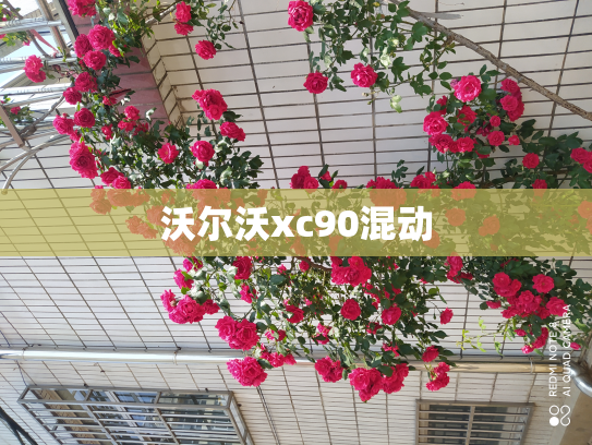 沃尔沃xc90混动