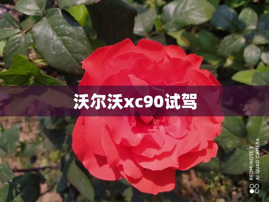 沃尔沃xc90试驾