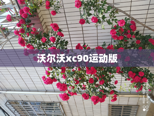 沃尔沃xc90运动版
