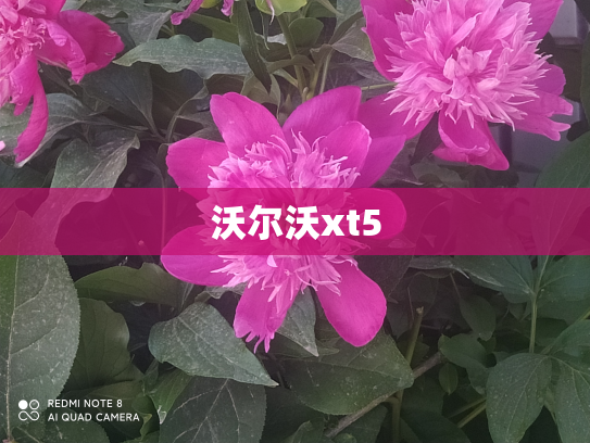 沃尔沃xt5