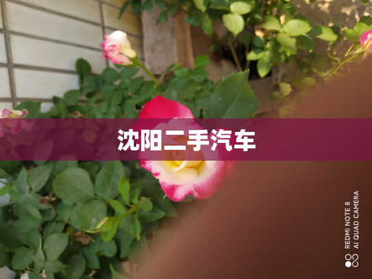 沈阳二手汽车