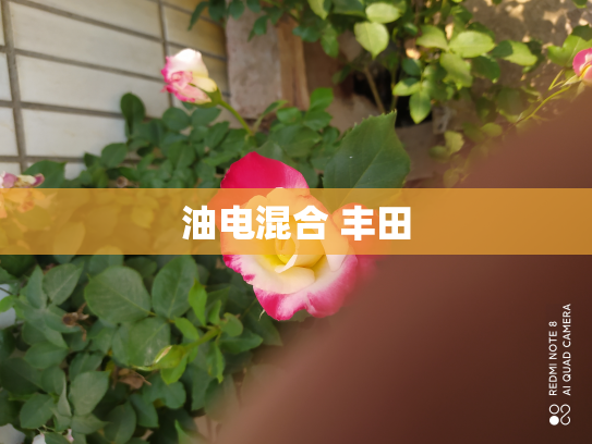油电混合 丰田
