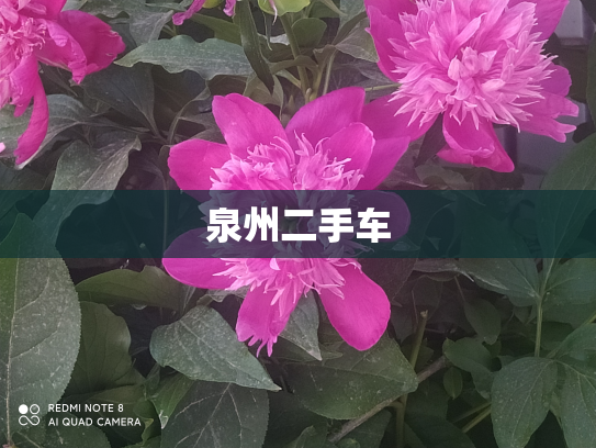 泉州二手车
