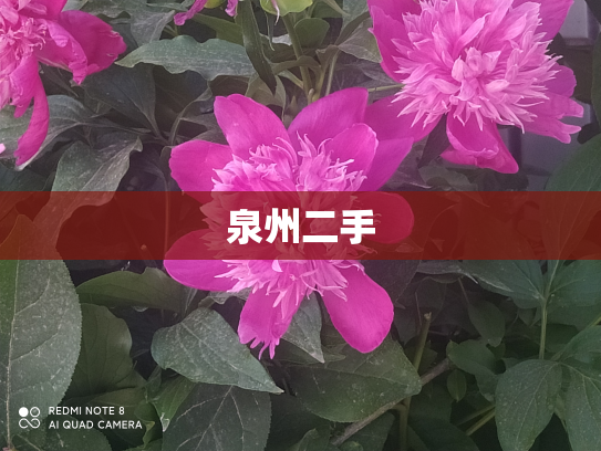 泉州二手