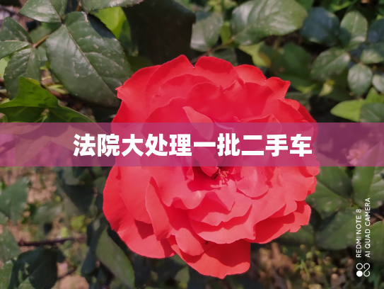 法院大处理一批二手车