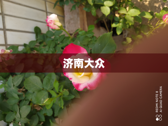 济南大众