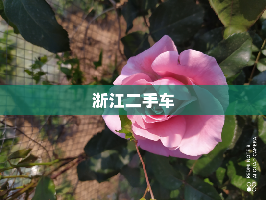 浙江二手车