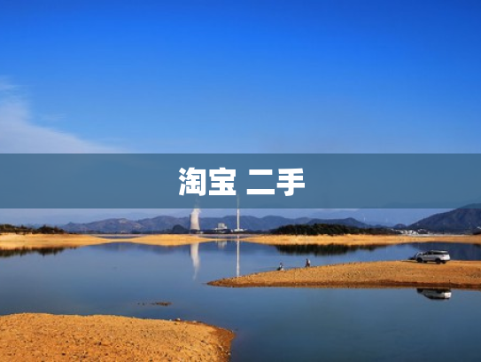 淘宝 二手
