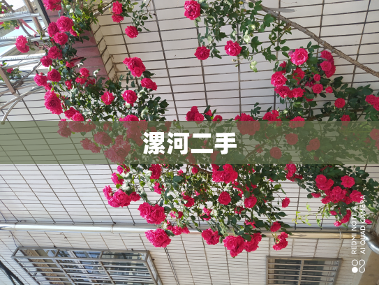 漯河二手