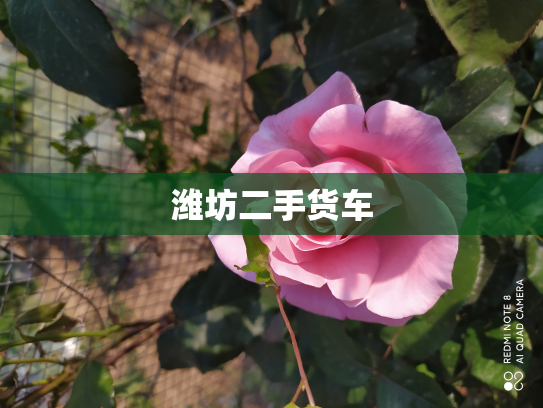 潍坊二手货车