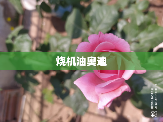 烧机油奥迪