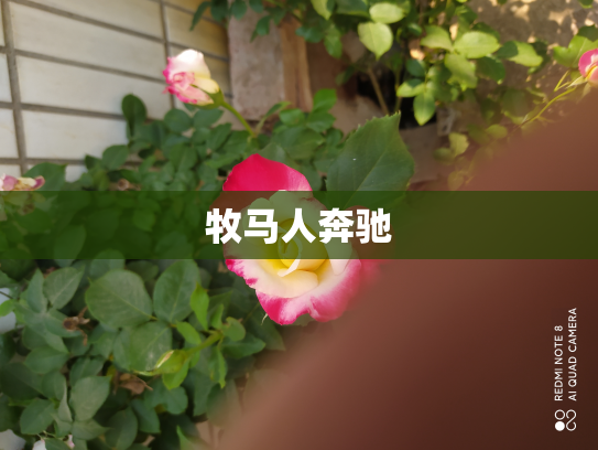 牧马人奔驰