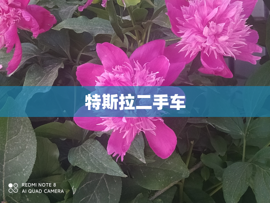 特斯拉二手车