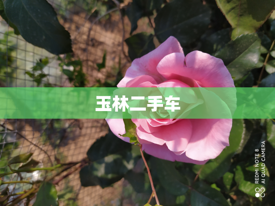 玉林二手车