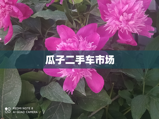 瓜子二手车市场