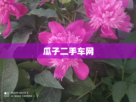 瓜子二手车网