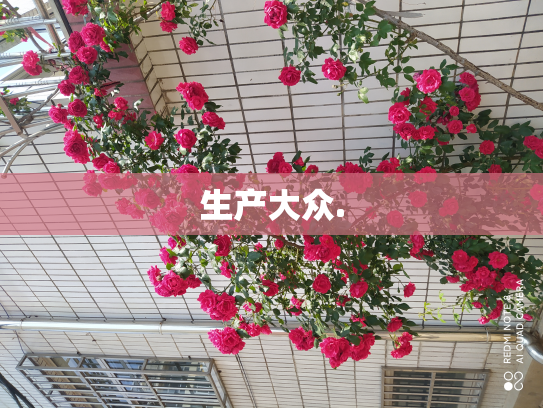 生产大众.