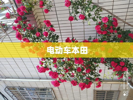 电动车本田