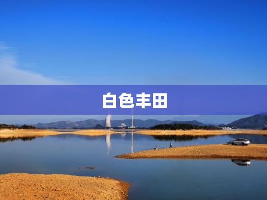 白色丰田