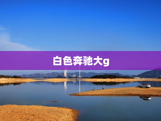 白色奔驰大g