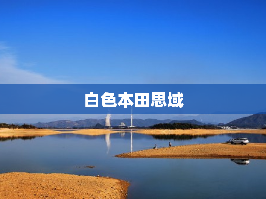 白色本田思域
