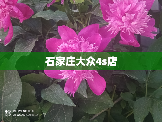 石家庄大众4s店