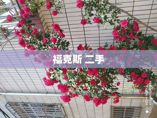 福克斯 二手