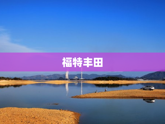 福特丰田